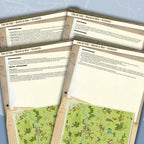 Line of Fire Magazine Issue #5