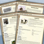 Line of Fire Magazine Issue #10