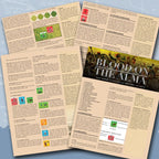 Line of Fire Magazine Issue #13