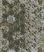 Lock 'n Load Tactical: We Stand Alone - Battles of Easy Company